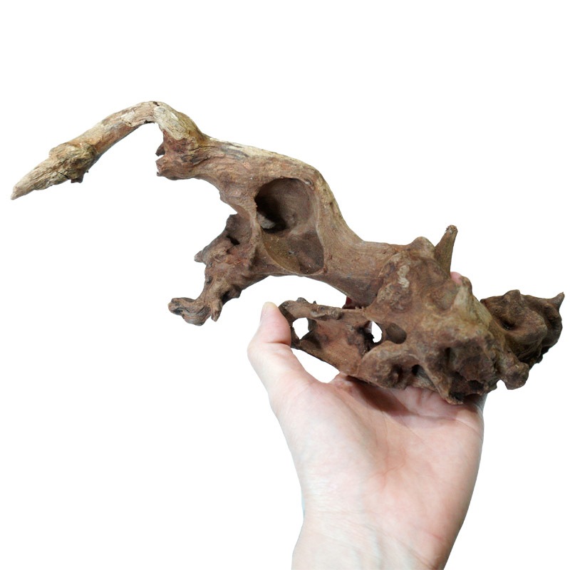 デルフィス リベラ流木 ウッドサージ90cm水槽用セレクトSET