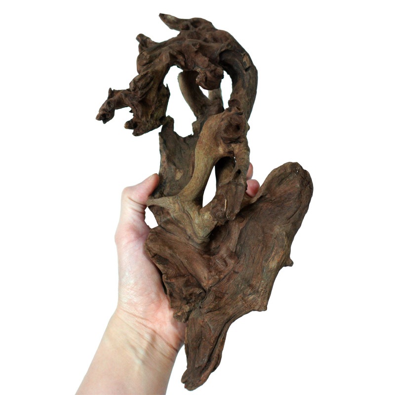 デルフィス リベラ流木 ウッドサージ90cm水槽用セレクトSET