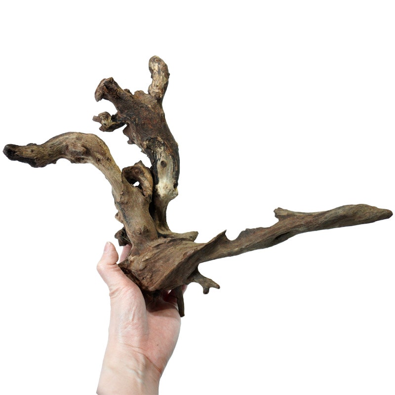 デルフィス リベラ流木 ウッドサージ小型水槽用セレクトSET