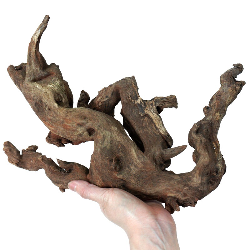 デルフィス　リベラ流木　ウッドサージ小型水槽用セレクトSET