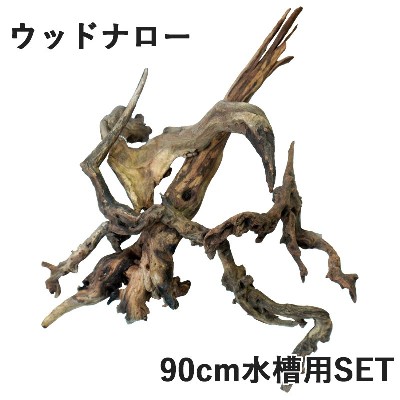 デルフィス リベラ流木 ウッドナロー90cm水槽用セレクトSET