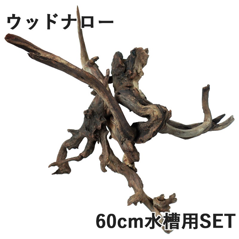 大量新入荷！】デルフィス リベラ流木 ウッドナロー60cm水槽用セレクト