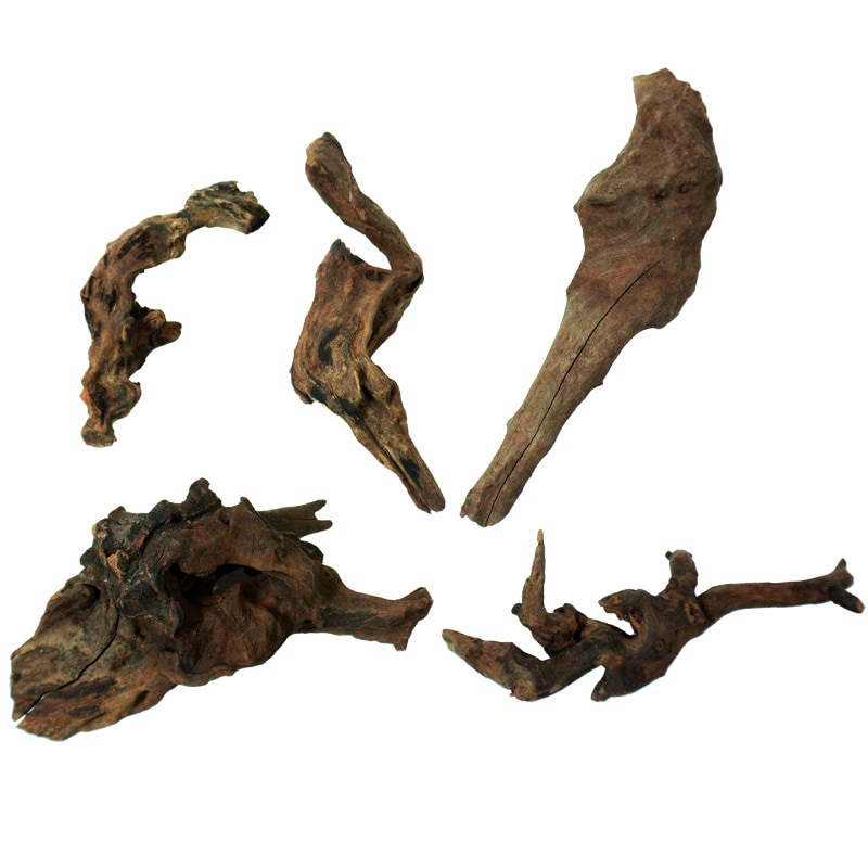 デルフィス リベラ流木 ミニ流木 5本セット(形状おまかせ