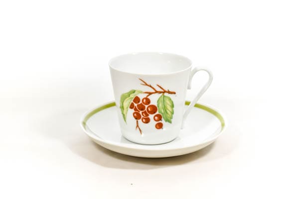 LYNGBY PORCELIN<br/>Picnic　カップ&ソーサー<br/>【2002-noz5】