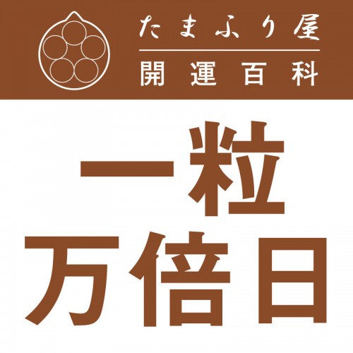 ��γ������(������夦�ޤ�Ф��ˤ�) |��������