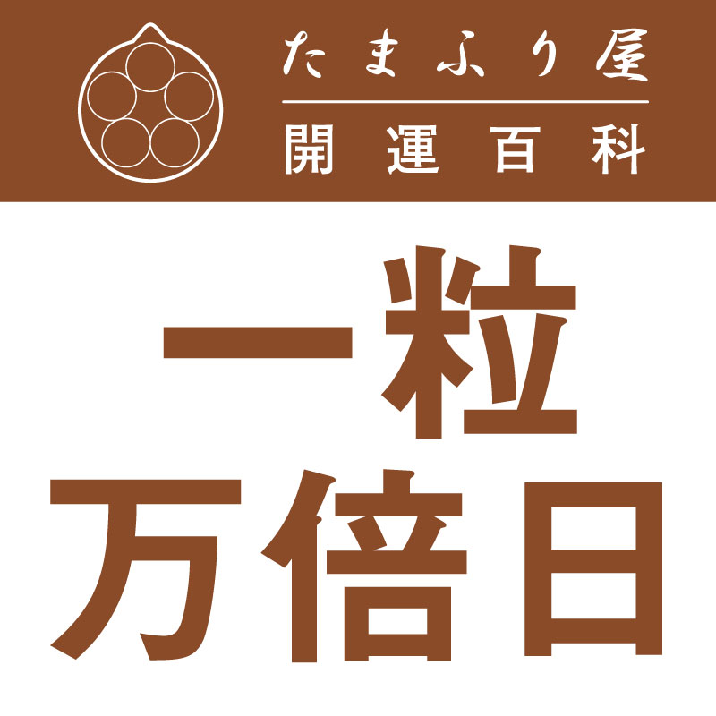 A宮古島一粒万倍日3粒オルゴ仕返し玉と金運蛇 金運向上 家運繁栄 白蛇円環繁栄守り｜白崎八幡宮