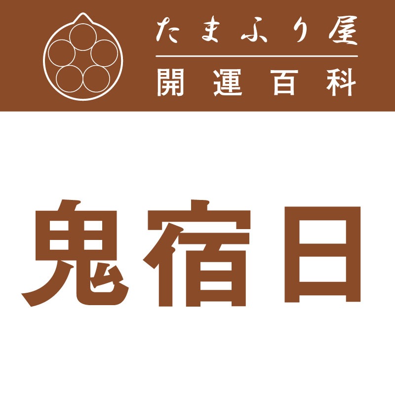 ������(�����夯�ˤ�) |��������