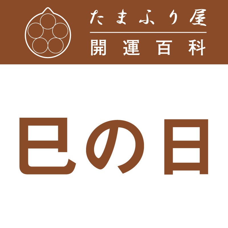 ̦����(�ߤΤ�) |��������