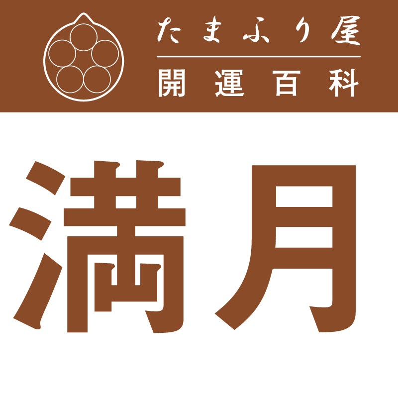 ����(�ޤ󤲤�) |��������