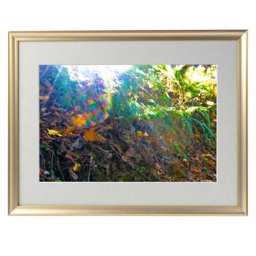 �������夬�롪�� �ڴ��פμ̿��۶̶��νи� �䱿�����夬�볨��õ���Ƥ������ء���������ǹ�����Ϣ����������ꡪ����δ�ɤγ����ե��Ⱥ���