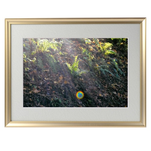 �������夬�롪�� �ڴ��פμ̿��۶̶�����ͷ �䱿�����夬�볨��õ���Ƥ������ء���������ǹ�����Ϣ����������ꡪ����δ�ɤγ����ե��Ⱥ���