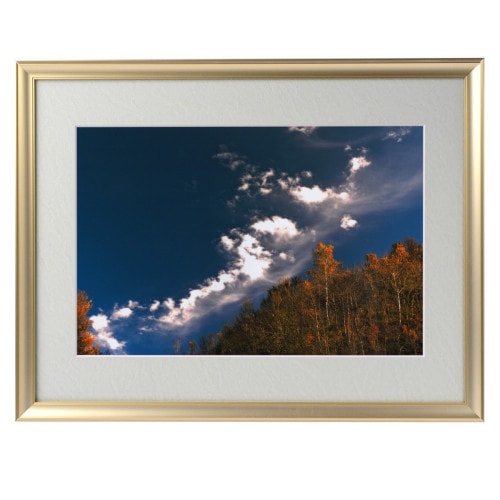 �������夬�롪�� �ڴ��פμ̿���ȯ������˱�� �䱿�����夬�볨��õ���Ƥ������ء���������ǹ�����Ϣ����������ꡪ����δ�ɤγ����ե��Ⱥ���