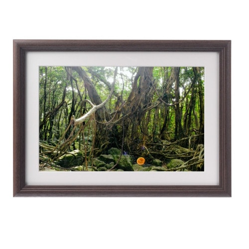 �������夬�롪�� �ڴ��פμ̿��ۥ�����ޥ������ �䱿�����夬�볨��õ���Ƥ������ء���������ǹ�����Ϣ����������ꡪ����δ�ɤγ����ե��Ⱥ���