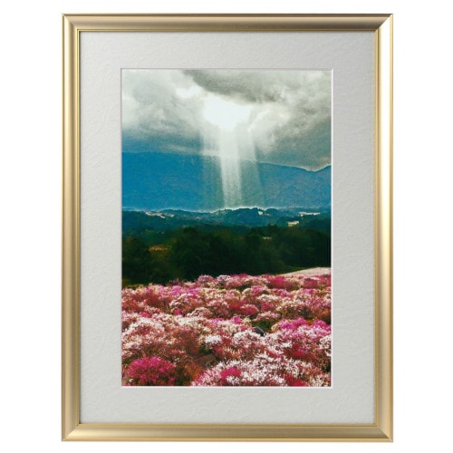 �������夬�롪�� �ڴ��פμ̿��۸�Ω�Ļ�������¡� �䱿�����夬�볨��õ���Ƥ������ء���������ǹ�����Ϣ����������ꡪ����δ�ɤγ����ե��Ⱥ���