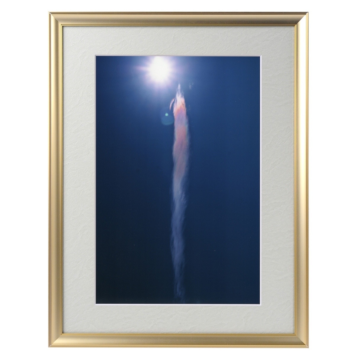 開運絵画　宇宙と金龍　龍神様　運気上昇　金運　健康運　仕事運　金箔　プルメリア 開運絵画 龍神様の眼 運気上昇 天からのエネルギー 金箔