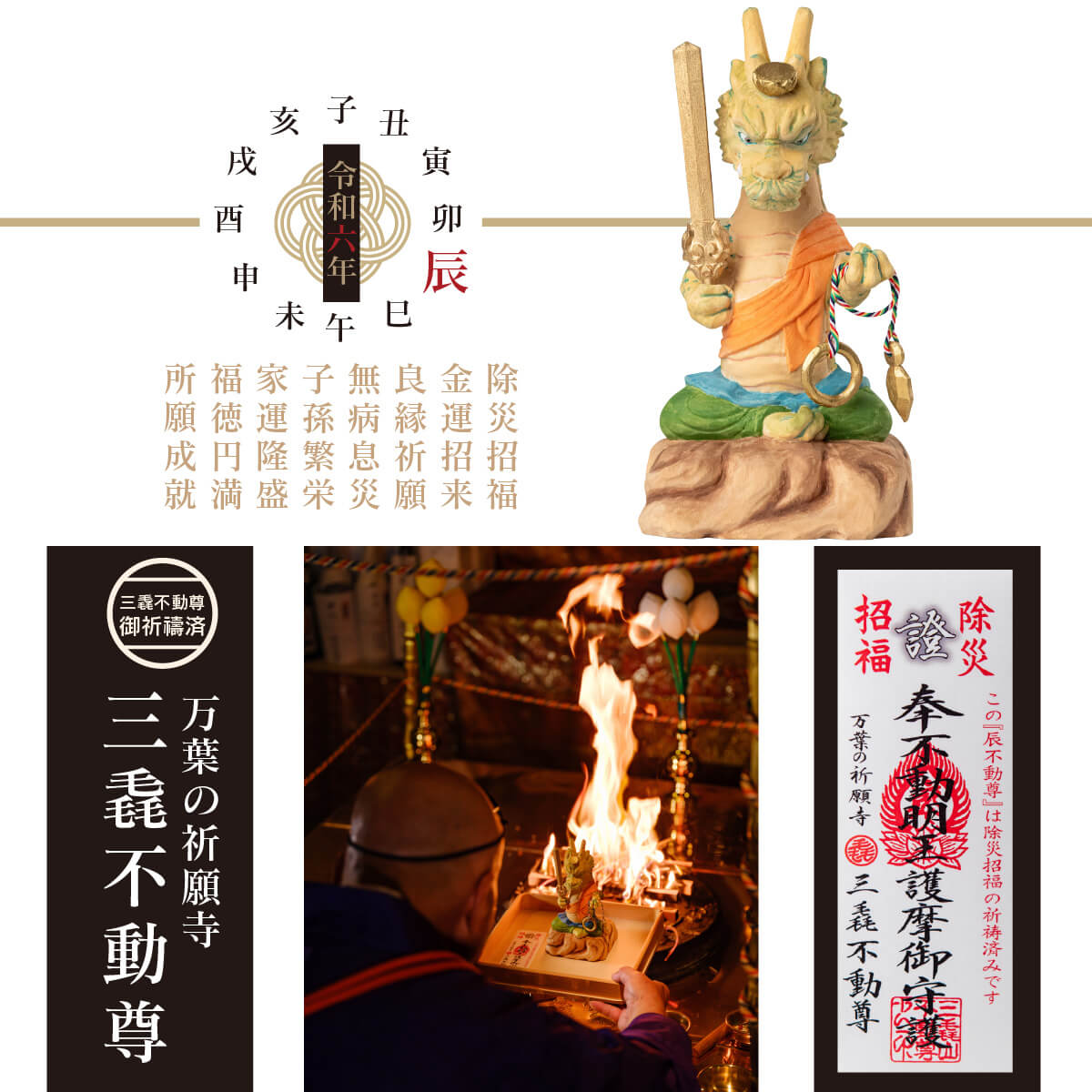 ºΡä()ưº 䴳٤ΤꡪꡢΩդǤ⡪൧Ǥʤδꤤ٤äפΤư͡Ϥ祵