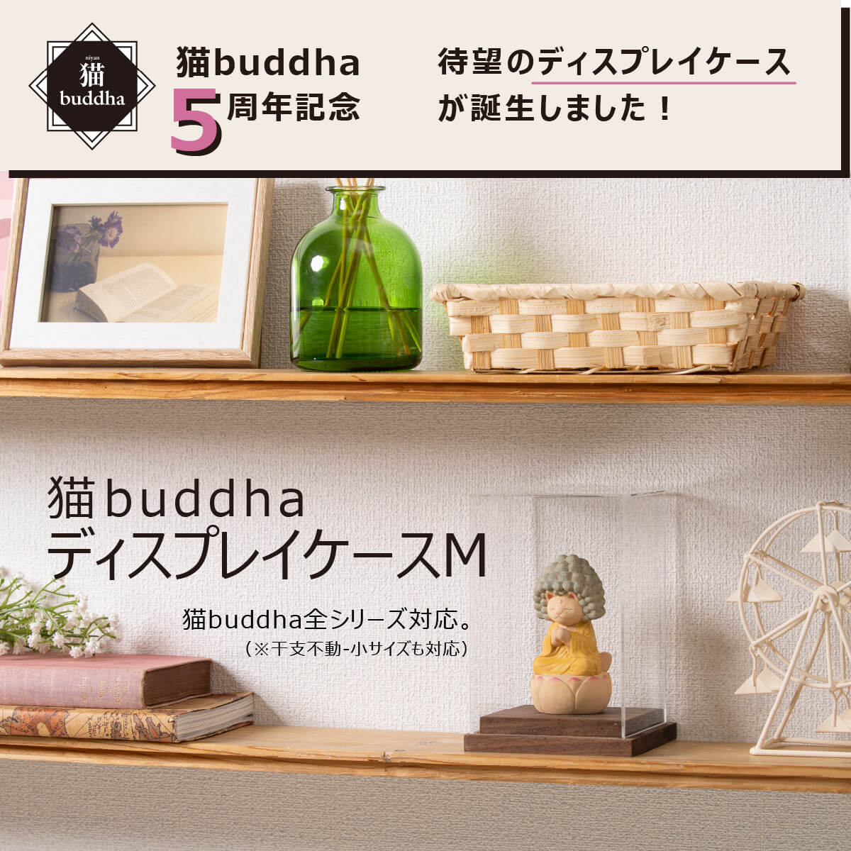 ǭbuddha�ǥ����ץ쥤������(M)