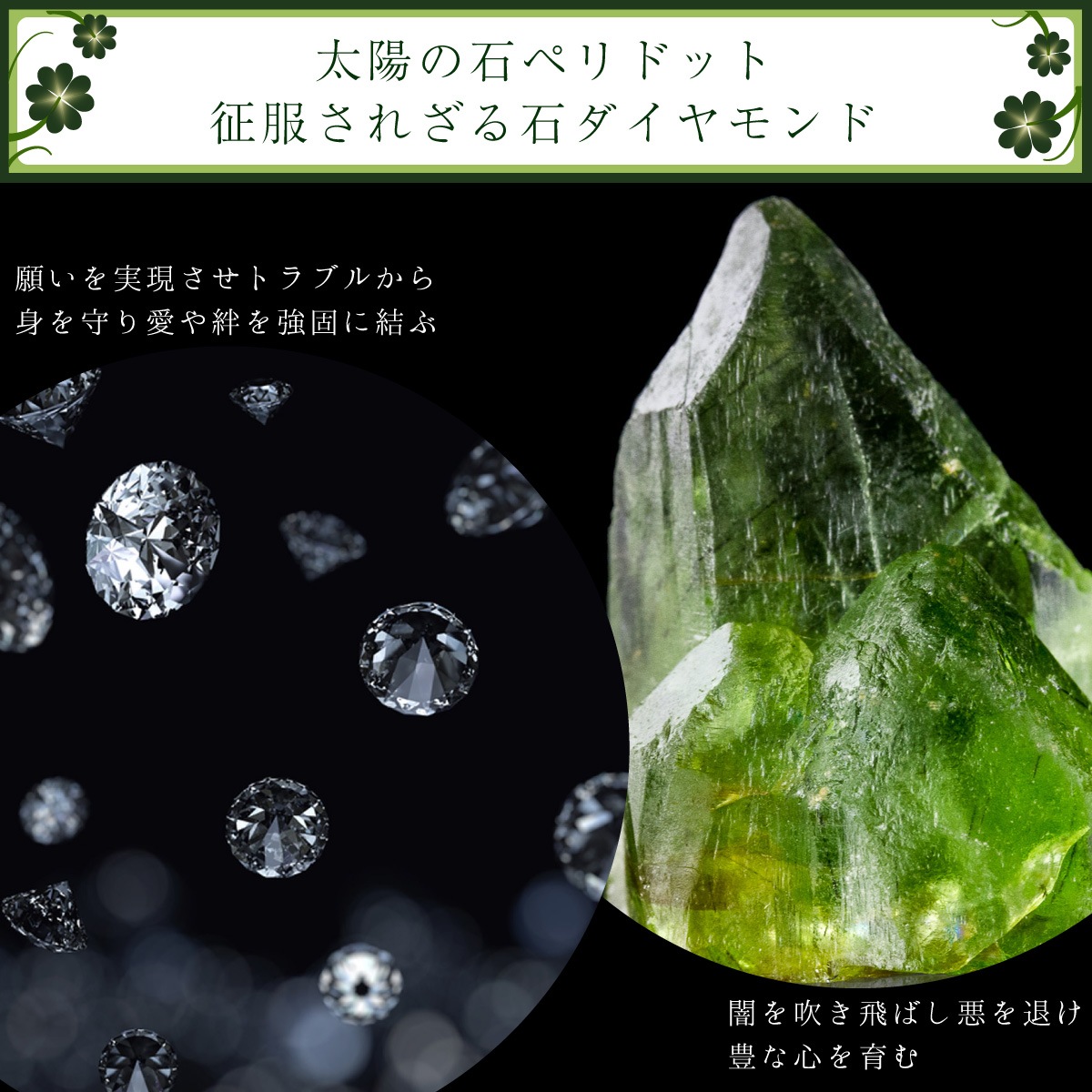 �����Υ������������С��ڥ����� �����α��ΰ���