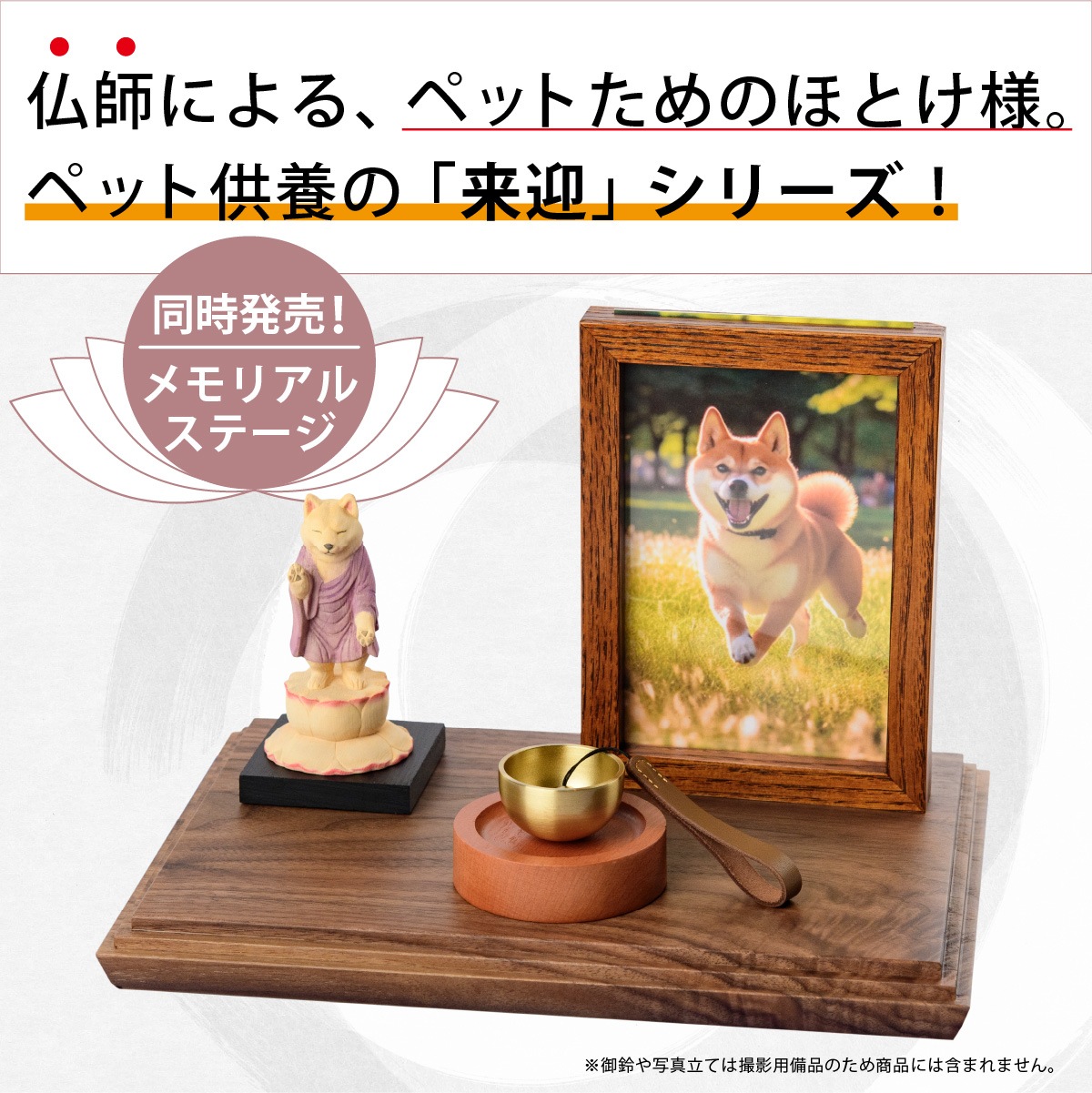 �ڥåȶ��ܤΥ��ꥢ�륹�ơ���