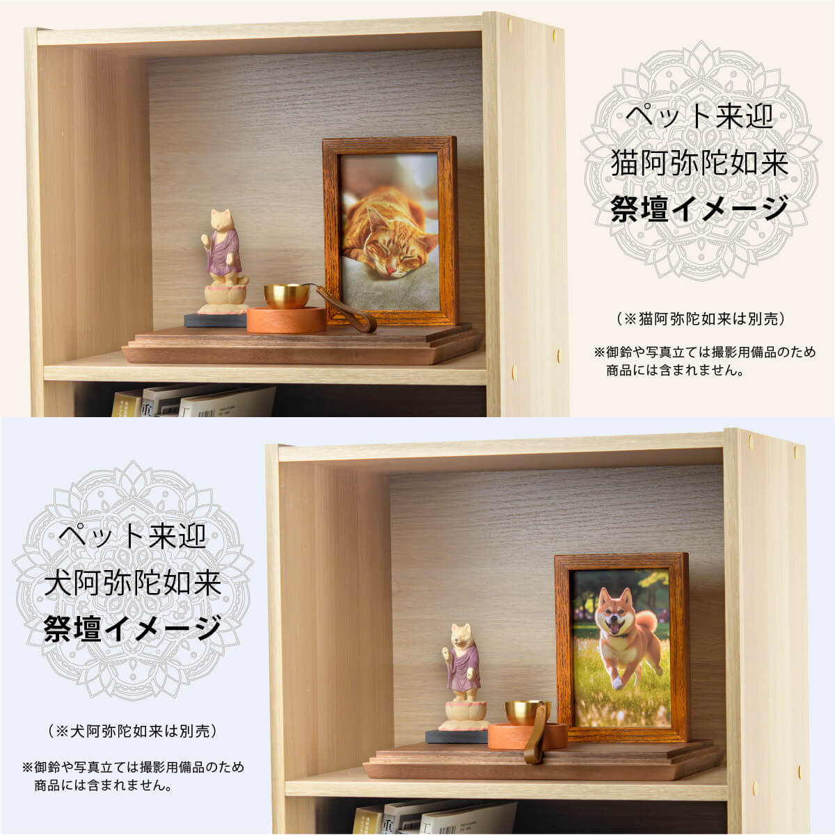 �ڥåȶ��ܤΥ��ꥢ�륹�ơ���