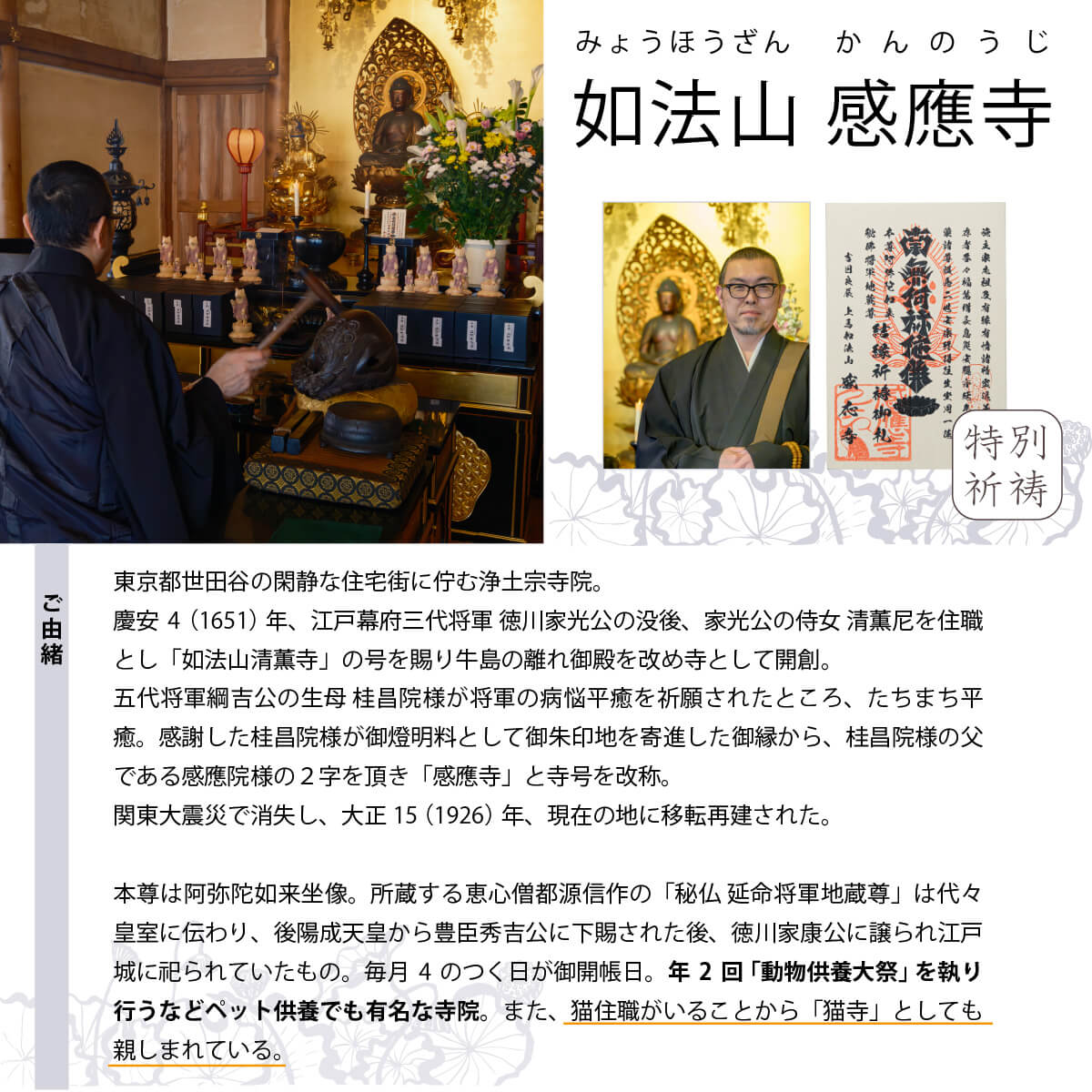 �ڥåȶ��ܤ����-ǭ������-��������̵���-