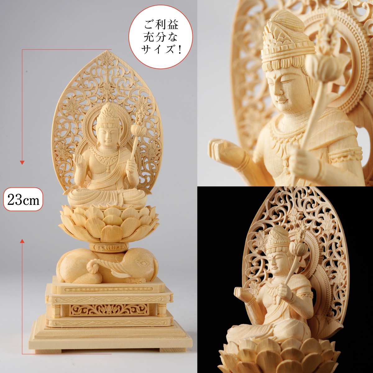 �ܳ���Ħ������º�� �ḭ� �䡡��Ħ��/�ҥΥ�����/��������λ�ǰʩ�ˡ����ε���ˡ�