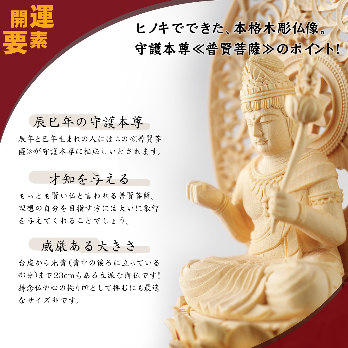 �ܳ���Ħ������º�� �ḭ� �䡡��Ħ��/�ҥΥ�����/��������λ�ǰʩ�ˡ����ε���ˡ�