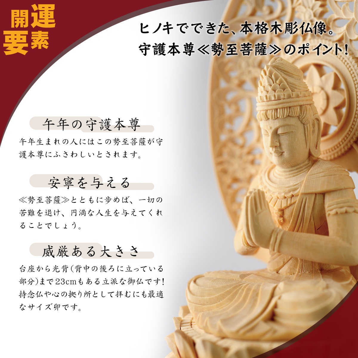 �ܳ���Ħ������º�� ����� �䡡��Ħ��/�ҥΥ�����/��������λ�ǰʩ�ˡ����ε���ˡ�