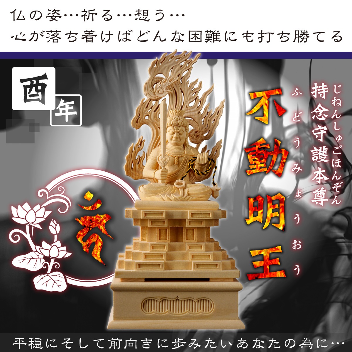 �ܳ���Ħ������º�� ��ư���� �䡡��Ħ��/�ҥΥ�����/��������λ�ǰʩ�ˡ����ε���ˡ�