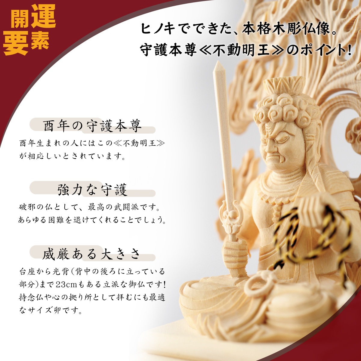 �ܳ���Ħ������º�� ��ư���� �䡡��Ħ��/�ҥΥ�����/��������λ�ǰʩ�ˡ����ε���ˡ�