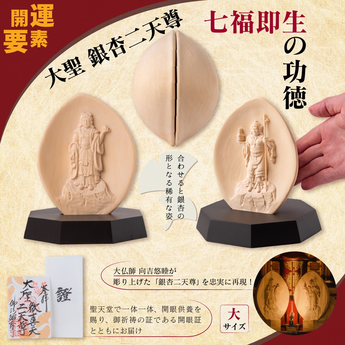 ΩȽˡ  ŷº  ˡδ ŷͤβ ŷȵȾŷʩ