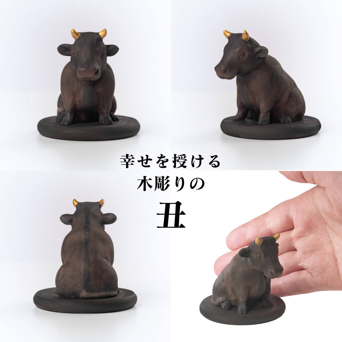 �������Ħ�ꥳ�쥯��������Ħ��α��ʤ����ˡ�