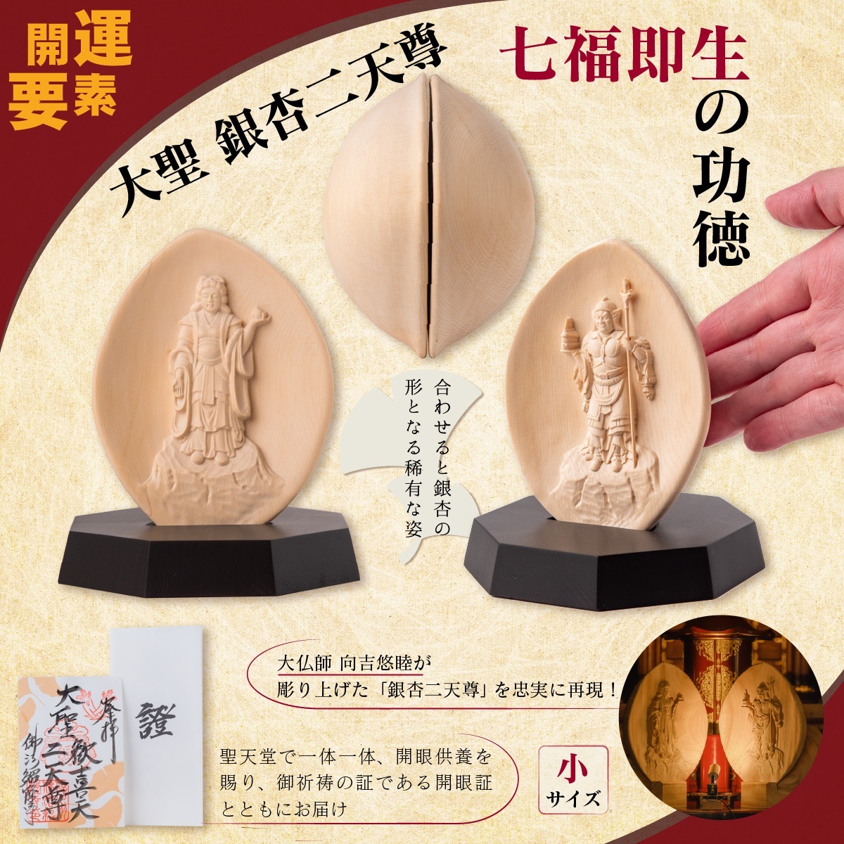 ΩȽˡ  ŷº  ˡδ ŷͤβ ŷȵȾŷʩ