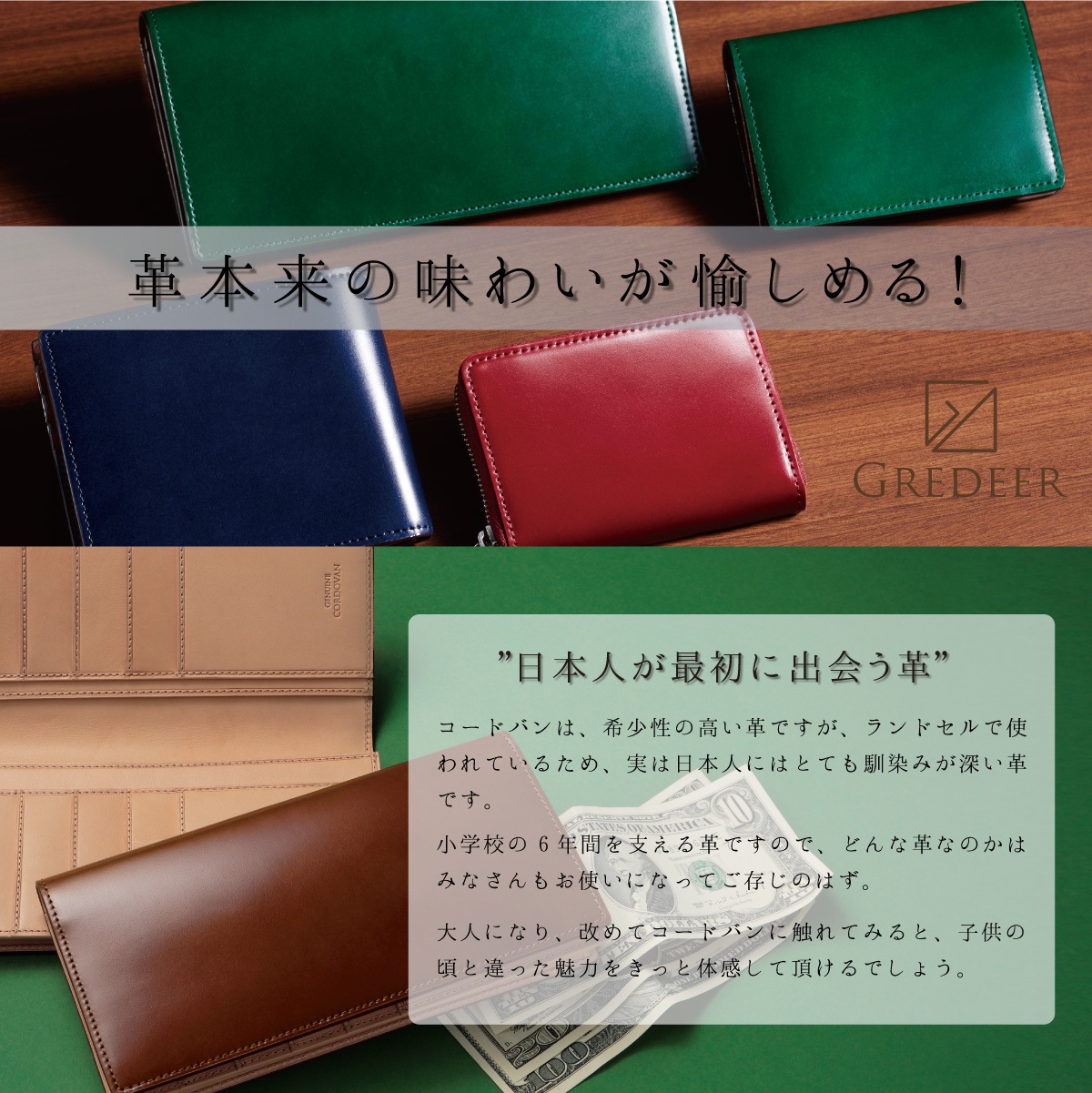 �ϳסʥ����ɥХ�ˤΥץ�ߥ�����ۡ�GREDEER �����ɥХ� Ĺ���� �ڥ��顼���饤�ȥ֥饦���