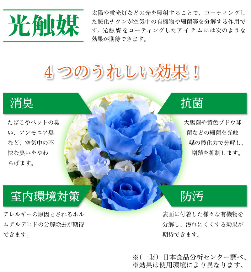 �ڲ֤��ȤФ�̴���ʤ��۹������Ĥ��Х�ڳ��������ȥե���