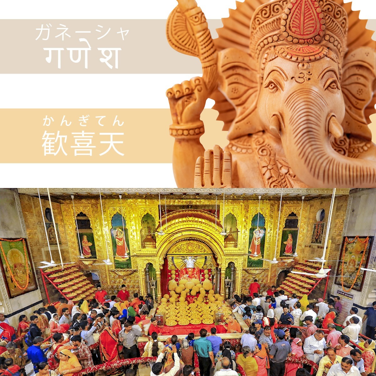 Ɀ𤨤Ƭο   ƥ󥰥͡ϥƥ󥰥浧