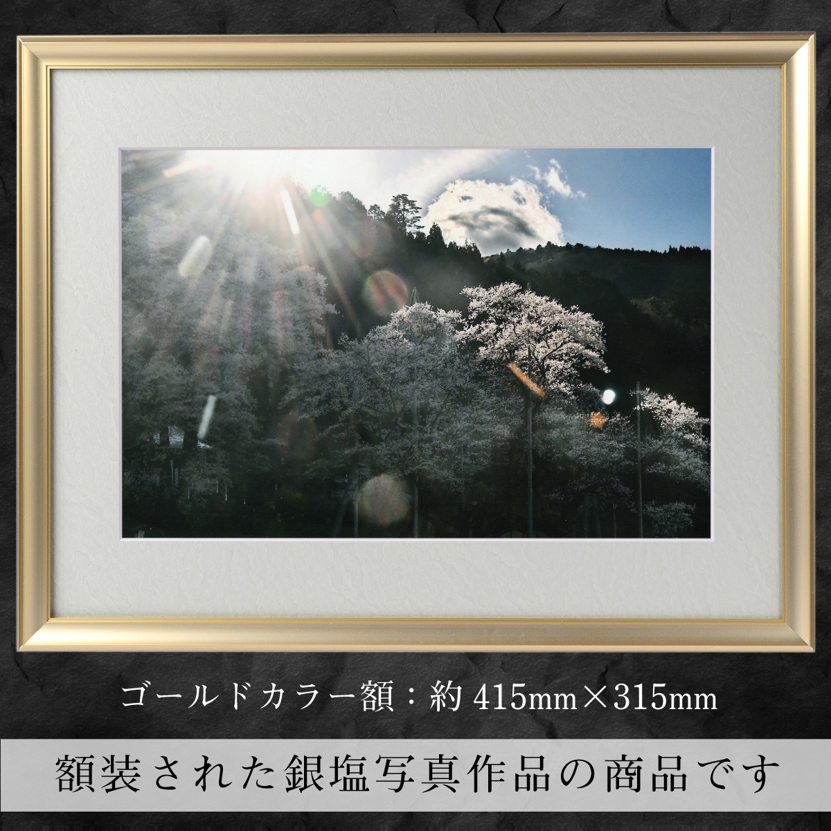 �������夬�롪�� �ڴ��פμ̿�����ǯ�κ��˻��ο� �䱿�����夬�볨��õ���Ƥ������ء���������ǹ�����Ϣ����������ꡪ����δ�ɤγ����ե��Ⱥ���