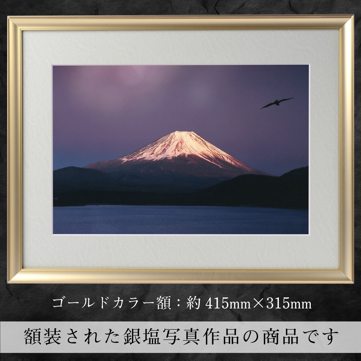 �������夬�롪�� �ڴ��פμ̿��������δ��� �䱿�����夬�볨��õ���Ƥ������ء���������ǹ�����Ϣ����������ꡪ����δ�ɤγ����ե��Ⱥ���