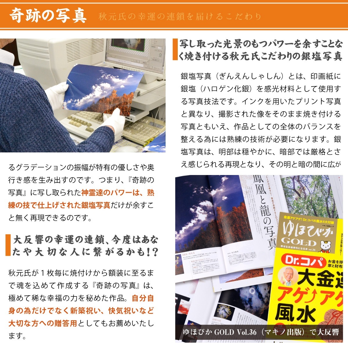 �������夬�롪�� �ڴ��פμ̿��������δ��� �䱿�����夬�볨��õ���Ƥ������ء���������ǹ�����Ϣ����������ꡪ����δ�ɤγ����ե��Ⱥ���