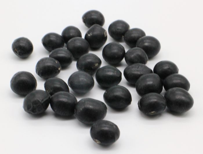 玉三 丹波黒豆麦茶 200g(10g×20袋)　× 15袋 玉三 丹波黒豆麦茶(10g×20袋) | 麦茶 | 玉三オンラインショップ