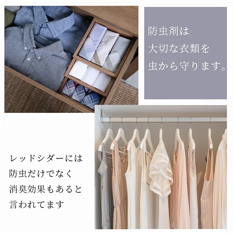 Redecker ��ǥå��� ��åɥ����� �֥��å������� 5�ĥ��å� 445010 ���� ���������å� ���� ��� ŷ���Ǻ� ̵ź�� �̲����� ���軨�� ������� �ɥ��� ŷ�� ���� �ʥ����� �� ���� ���å� ����ץ� ���� ��ǥå��� �����Ф� ���������� ��ޯ�� ��Ǽ������