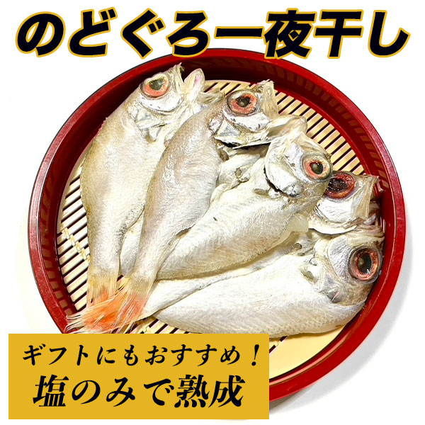 のどぐろ 一夜干し 干物 福岡で手作り 30尾 (1尾 60g - 70g 前後) のどくろ ノドグロ 赤むつ 赤ムツ アカムツ 白身 高級魚 明太子 おつまみ 焼き魚 魚 高級 のど黒一夜干し 120g× 1尾⁄ 3尾⁄ 5尾 のどぐろ 干物 ひもの