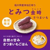 ���ȤߤĶ�� ���Ĥޤ��� 5.0kg(M��L����) �ۥ��ۥ������Ⱦ��ʤʴŤ��ǥѥƥ������ˤ�͵��ڤ���ʸ�塢ȯ���ޤǤ�10�����٤����֤�ĺ�פ��ޤ�����