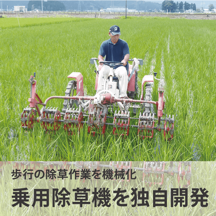 ����������̺����ƥߥ륭���������� �����ơ����ơ� �դ����춿�ơ�5kg�������ޡۡ�1ǯ�ʾ����������������Ի��ѡ�̵�����ˡ�