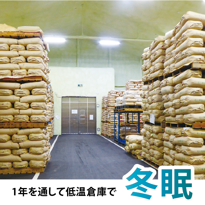 ����������̺����� �����춿�� �����ơ����ơ��������ơۡ�10kg�������ޡۡ�����70��ʾ奫�åȡ�ͭ��Ŭ���������ѡʸ������ˡ�