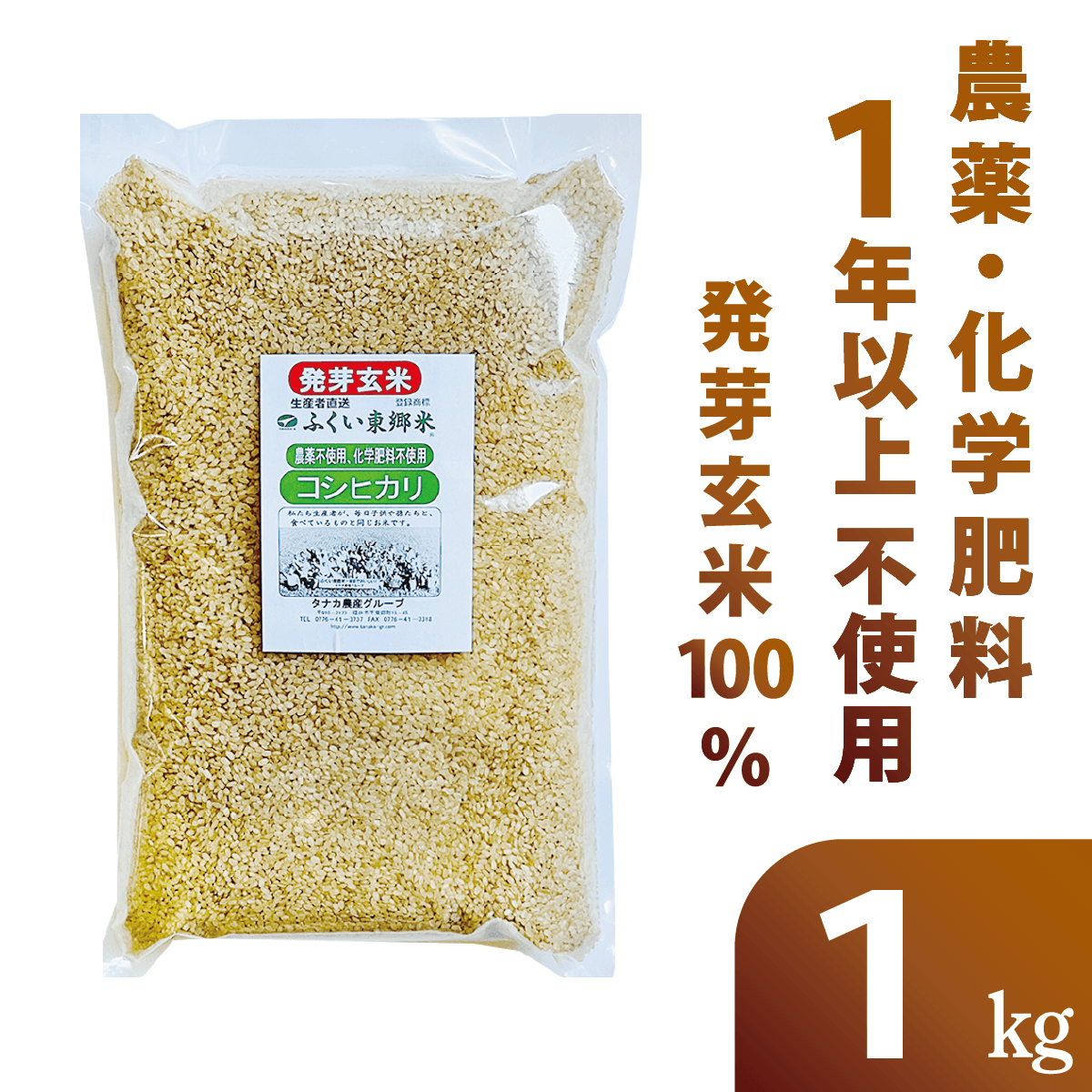 ���������ȯ�긼�ơ����̺����ƥ����ҥ��ꡡ��1kg�ۡ���1ǯ�ʾ����������������Ի��ѡ�̵�����ˡ�