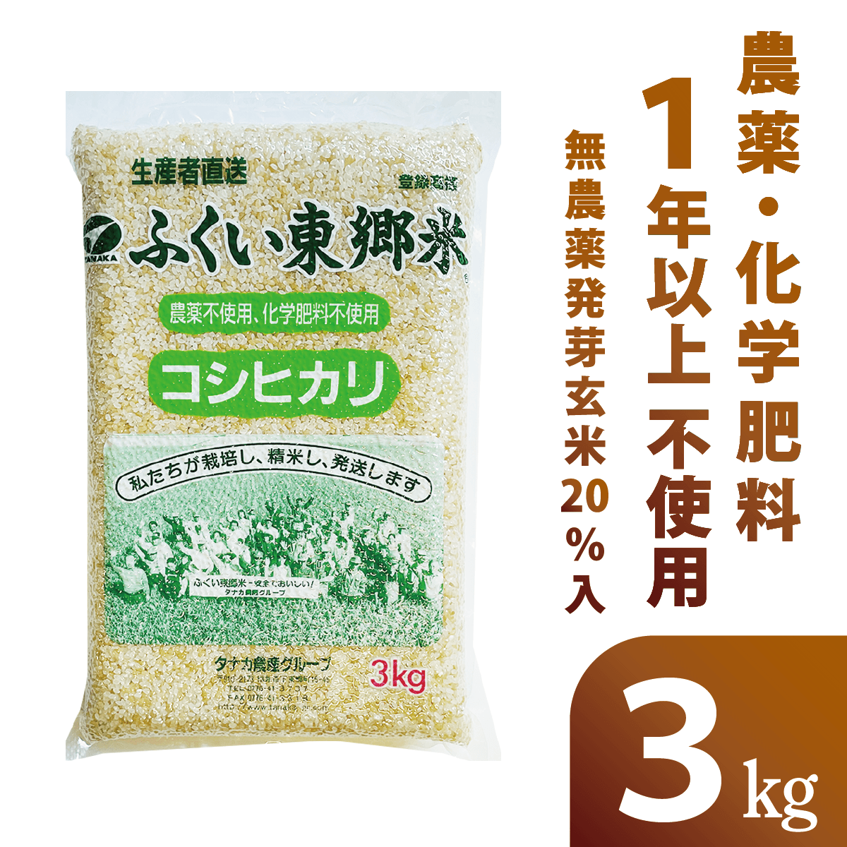 なぜこうなるのか！　発芽用玄米10kg　６年産コシヒカリ　特別栽培①農薬等不使用 化学農薬は難しい！ 発芽用玄米10kg 5年産コシヒカリ 特別栽培