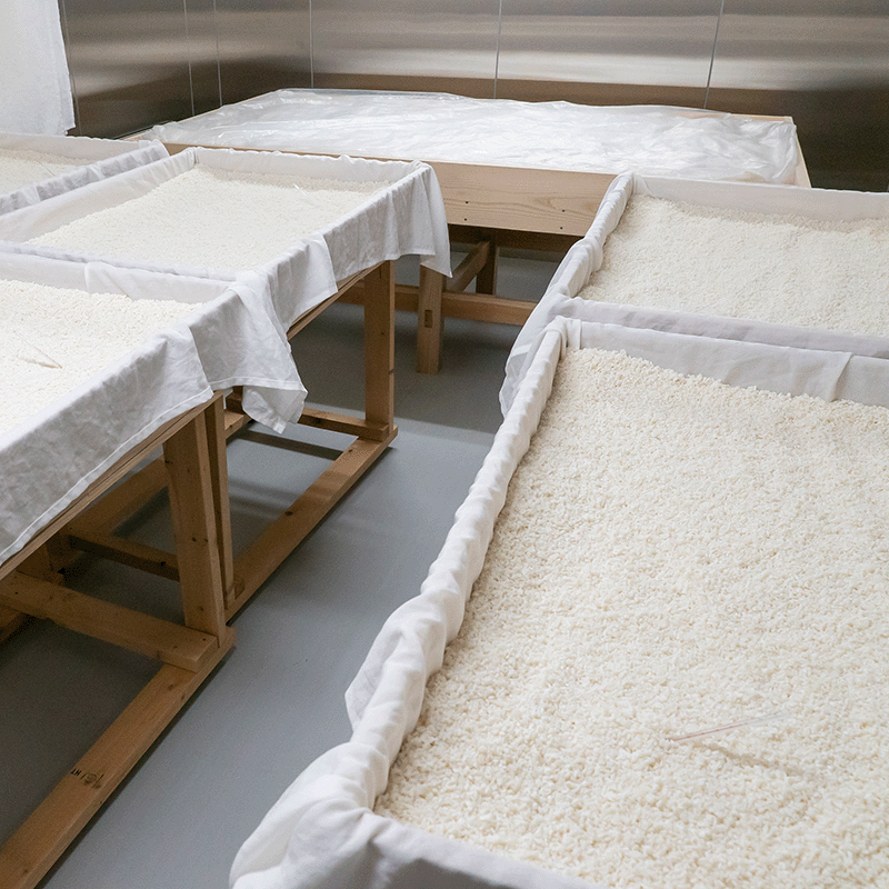 ��6�ܥ��åȡۡ�ͭ��JAS(�������˥å�)�۽��ƾ�¤�ݡ�500ml��������ˡ��Τʤ��������ȯ��ˡ�åġ���Ȥ������������ʤ�