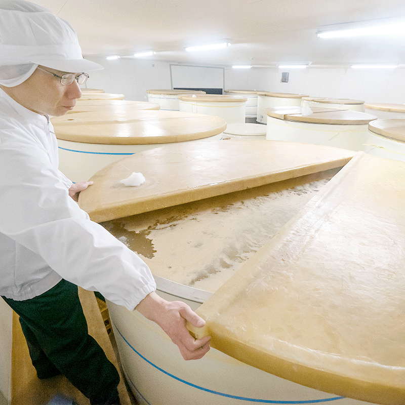 ��6�ܥ��åȡۡ�ͭ��JAS(�������˥å�)�۽��ƾ�¤�ݡ�500ml��������ˡ��Τʤ��������ȯ��ˡ�åġ���Ȥ������������ʤ�