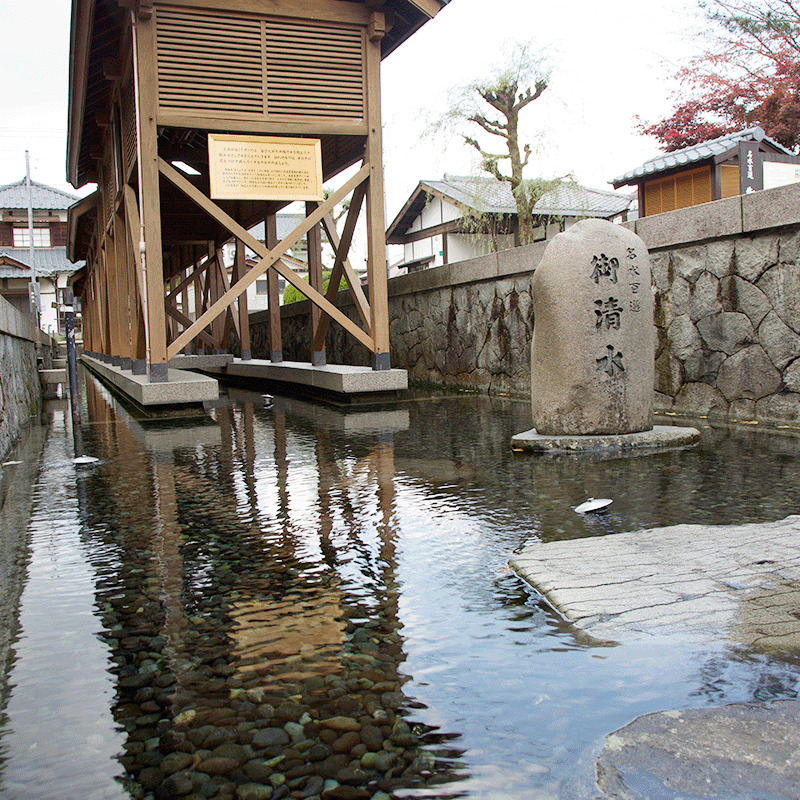 ��6�ܥ��åȡۡ�ͭ��JAS(�������˥å�)�۽��ƾ�¤�ݡ�500ml��������ˡ��Τʤ��������ȯ��ˡ�åġ���Ȥ������������ʤ�